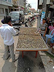 River Shells for Sale in Stung Treng by Asienreisender